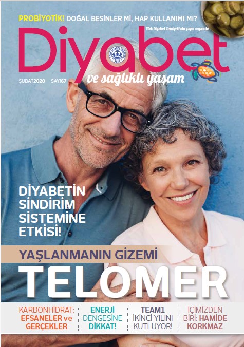 Sayı 67
