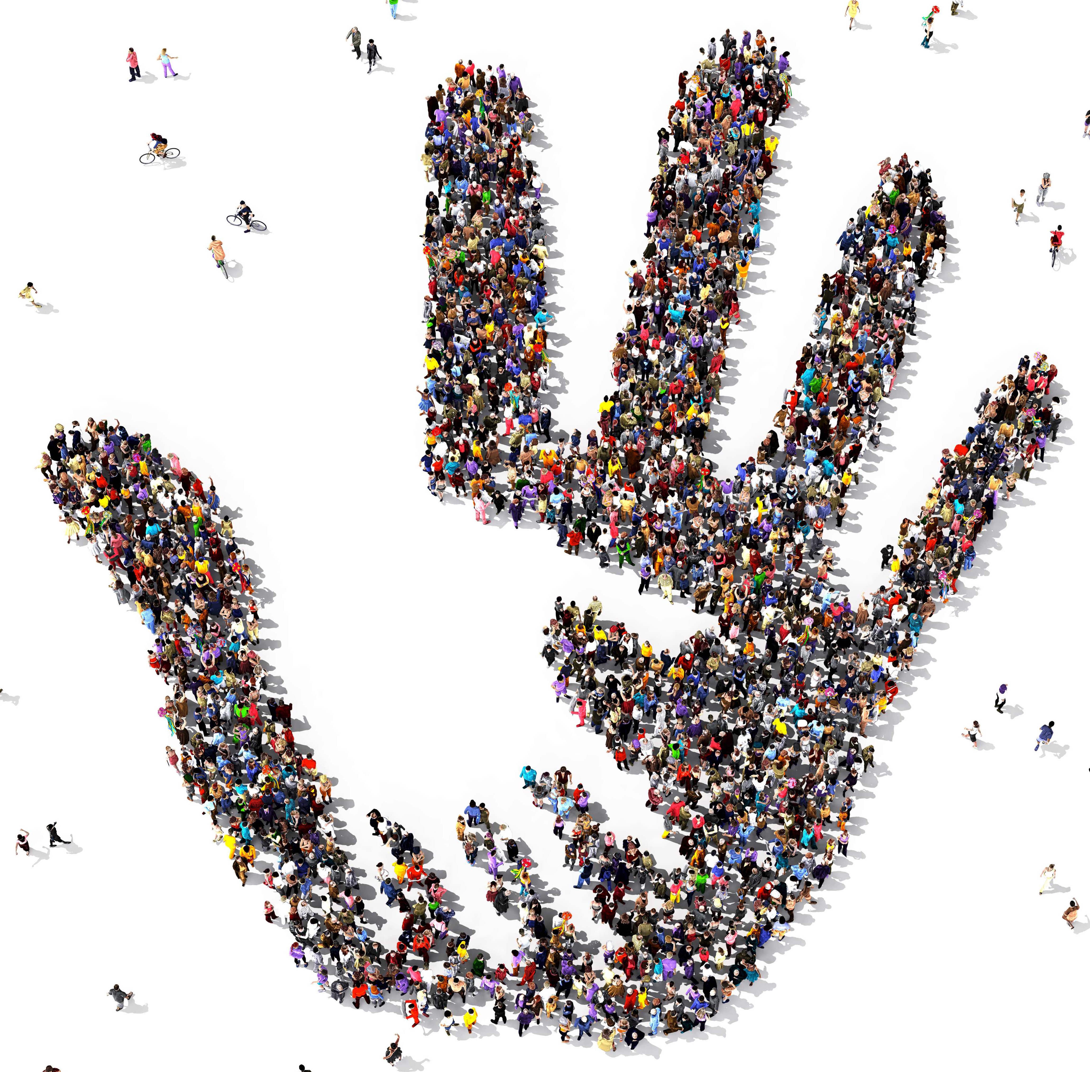 Sayılar Ne Söylüyor?